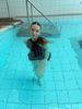Babyschwimmen Fürth
